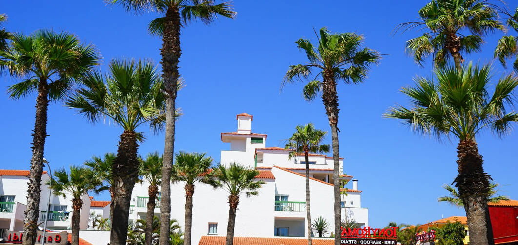 Hotel Emblemático San Agustin, Icod de los Vinos (Tenerife Norte)