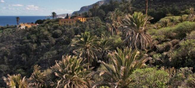 hotel finca las mariposas los realejos tenerife norte