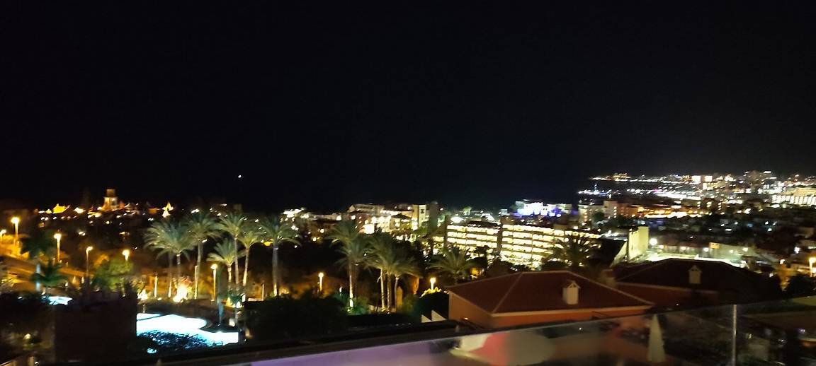 Hotel Meliá Jardines del Teide, Adeje (Tenerife Sur)