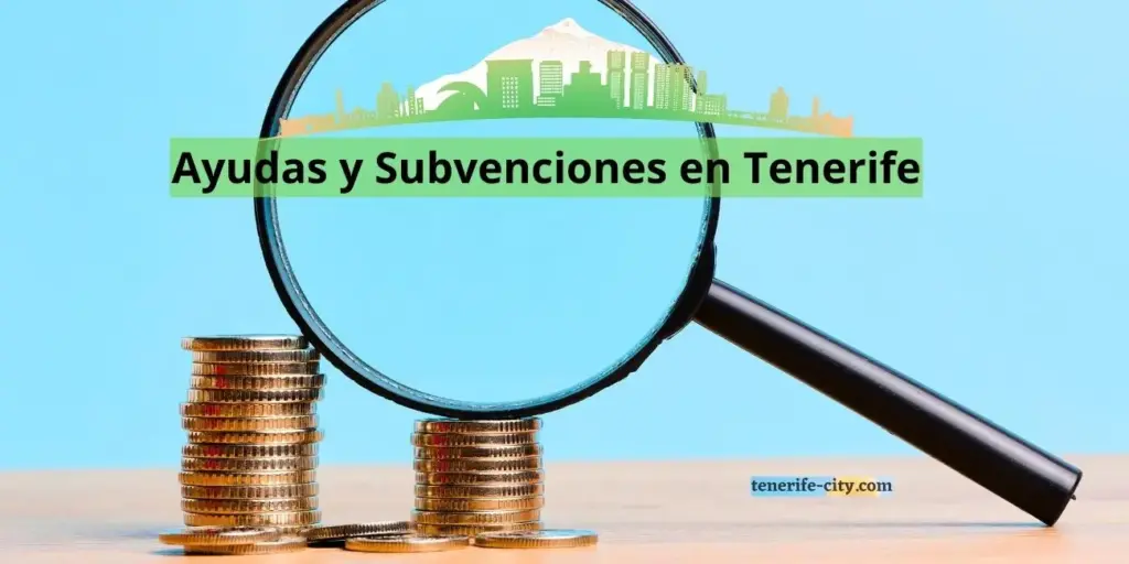 Ayudas y subvenciones economicas del Cabildo de Tenerife