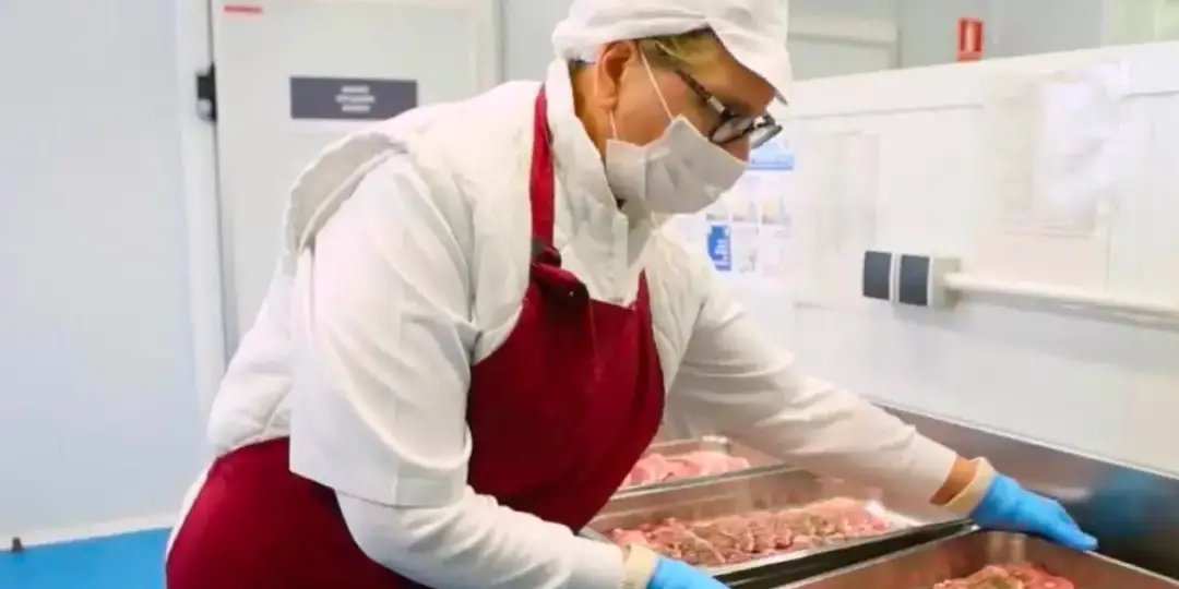 Enviar currículum a comedores escolares en Tenerife
