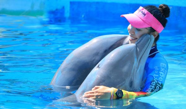 Sumérgete en la emoción de Nadar con Delfines en Nuevo Vallarta